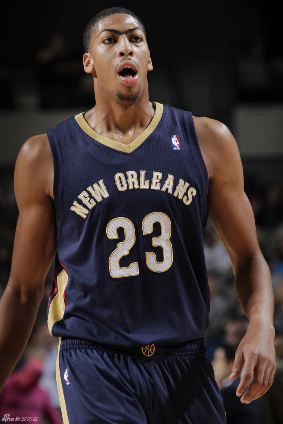 major冠军 major冠军